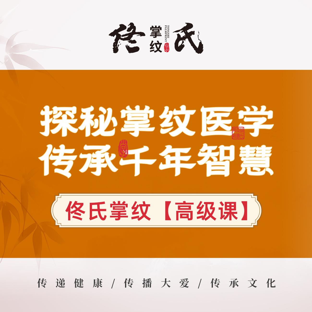 佟氏掌纹·高级课